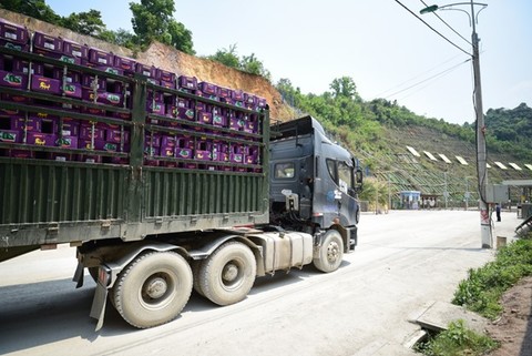 Almost 3,000 tonnes of farm produce exported to China via Lang Son's border gates
